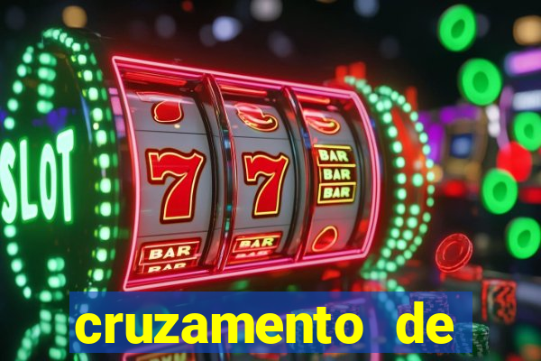 cruzamento de cavalo com mula